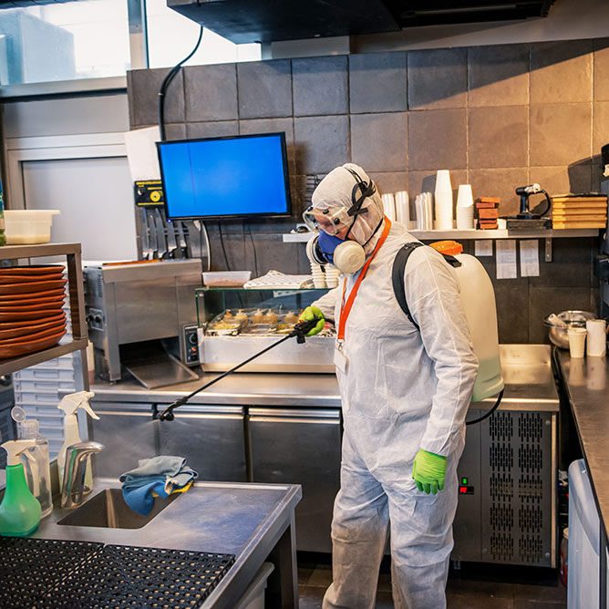 commercial kitchen pest control